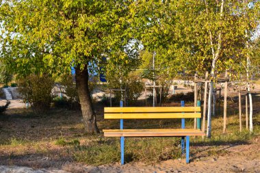 Dalları sarı yaprakları ve zemin yaprakları ile sonbaharda ağacın altında parkta tek bir bank sandalye koltuk. Güzel Sonbahar Arka Plan. Yalnızlık kavramı.