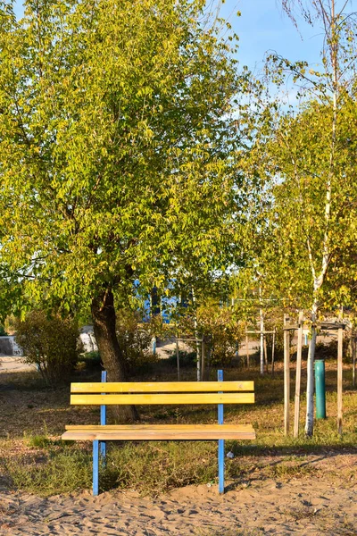 En enda stol i parkbänk under träd på hösten med gula blad av grenar och blad på marken. Begreppet ensamhet. — Stockfoto