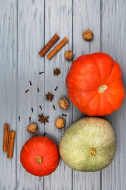 Gri bir zemin üzerinde turuncu ve yeşil balkabakları ve baharatlar. Yazı için uygun bir yer. Ceviz, tarçın, anason, karanfil.