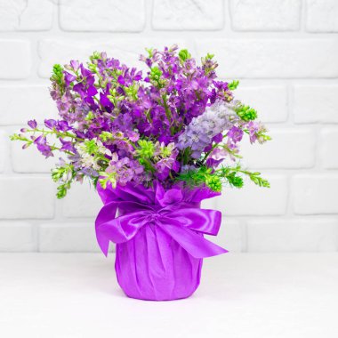 Beautiful bouquet of lilac purple flowers in a vase on a white background. Mothers day. Greeting card. Place for an inscription.