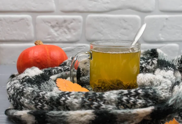 Autumn leaves, pumpkin, a cup of green tea in a variegated black and white scarf yf against a white brick wall background. A woolen scarf keeps tea warm. Autumn concept. — Stock Photo, Image