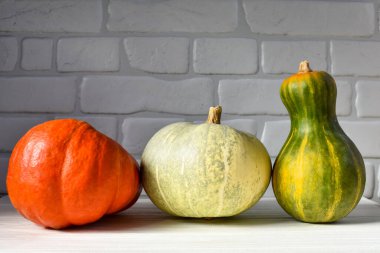 Üç balkabağı portakalı, beyaz ve yeşil balkabağı ahşap bir masanın üzerinde beyaz tuğla bir duvarın arka planına karşı. Hasat konsepti.