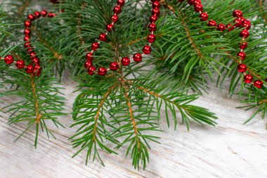 Noel ağacının yeşil dallarında kırmızı boncuklar. Noel arkaplanı. Noel.