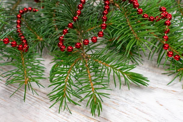 Contas vermelhas em ramos verdes de uma árvore de Natal. Fundo de Natal. Natal.. — Fotografia de Stock