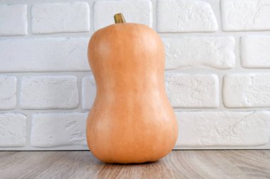 Beyaz arka planda bir balkabağı. Hasat konsepti.