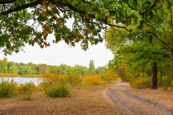 Estrada florestal com vista para o lago no outono. Conceito de outono. Amarelo, folhas verdes. — Fotografia de Stock