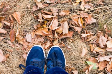 Spor ayakkabılı bir kadının bacakları kuru çimlerde durur. Düş! Sonbahar otu.