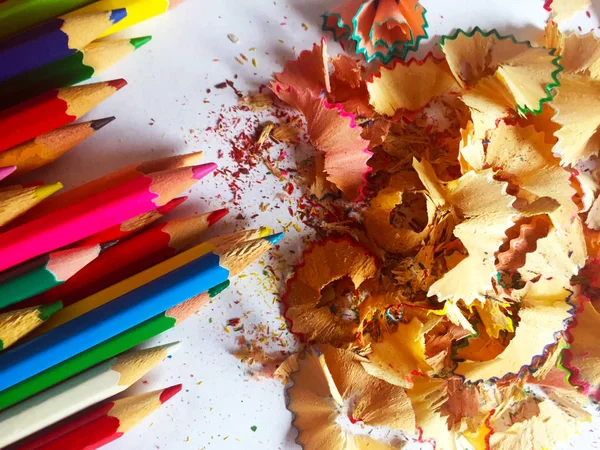 Many colored pencils and multicolored shavings on a white checked notebook sheet.