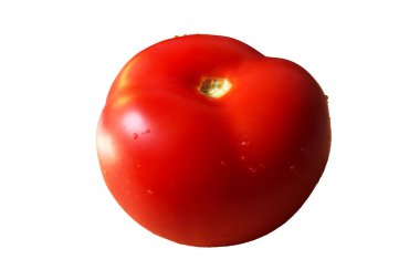 İzole edilmiş bir domates. Beyaz bir arka plan üzerinde su damlaları ile olgun kırmızı domates. Close.