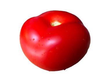 İzole edilmiş bir domates. Beyaz bir arka plan üzerinde su damlaları ile olgun kırmızı domates. Close.