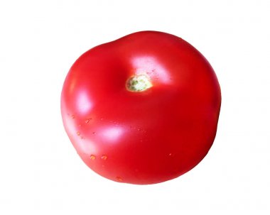 İzole edilmiş bir domates. Beyaz bir arka plan üzerinde su damlaları ile olgun kırmızı domates. Close.