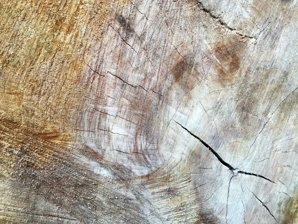 Motif Arrière Plan Texture Bois Coupée Dans Tronc Arbre Avec — Photo