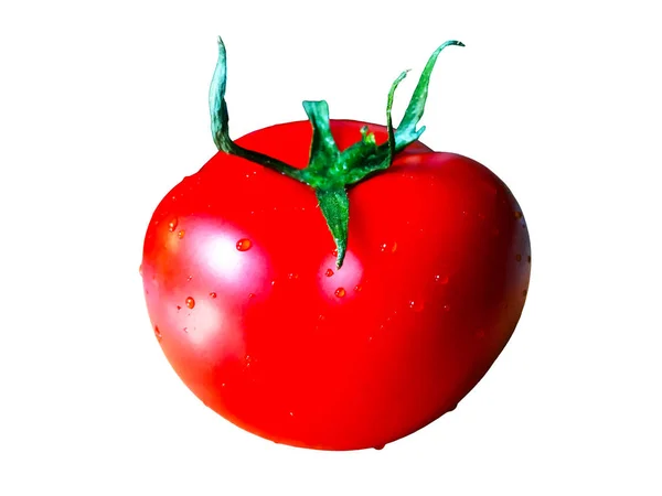 Isolated Tomato Ripe Red Tomato Water Drops White Background Close — Stock Photo, Image