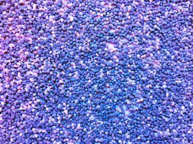 Küçük çakıl ilginç bir doku ile gri beton duvar. Bir renk spot tarafından vurgulanır. Sahilde çakıl taşı etkisi. Kopya alanı. Arka plan ve doku.