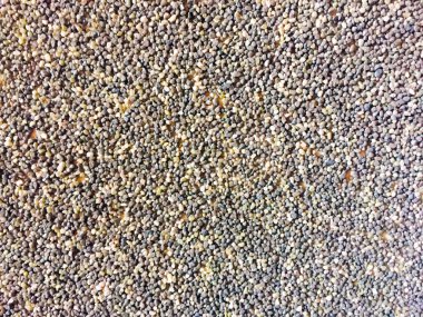 Küçük çakıl ilginç bir doku ile gri beton duvar. Bir renk spot tarafından vurgulanır. Sahilde çakıl taşı etkisi. Kopya alanı. Arka plan ve doku.