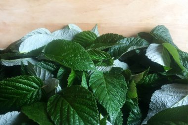 Ahududu yaprakları masanın üzerinde yatıyor. Kaynar su ile bir çaydanlık tabiri için kurutma yaprakları. Lezzetli bitkisel çay için boşluklar. Close. Arka plan ve doku.