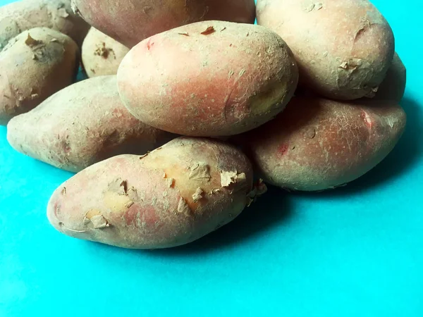 Tubers Large New Potatoes Plain Blue Background Close — Stock Photo, Image