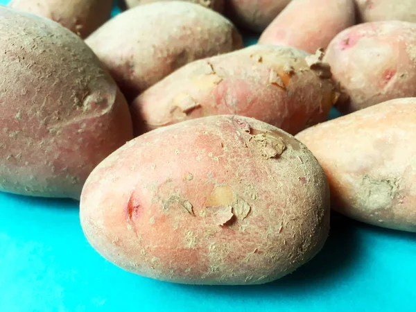 Knollen Großer Neuer Kartoffeln Auf Schlichtem Blauem Hintergrund Nahaufnahme — Stockfoto