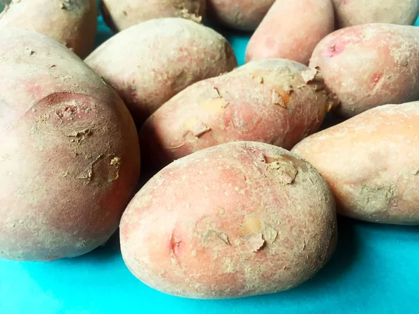 Tubers Large New Potatoes Plain Blue Background Close — Stock Photo, Image