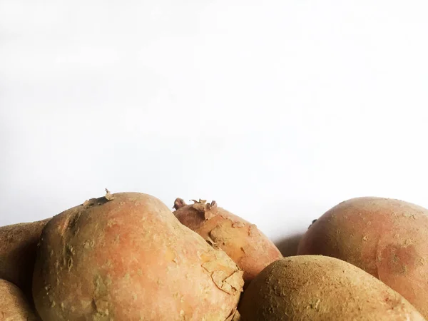 Bulwy Dużych Nowych Ziemniaków Białym Tle Zbliżenie — Zdjęcie stockowe