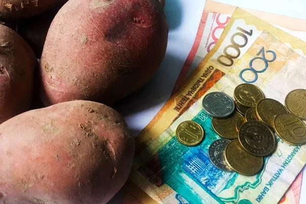 Pengar Och Rotknölar Potatis Sedlar 200 1000 Och 5000 Kazakstansk — Stockfoto