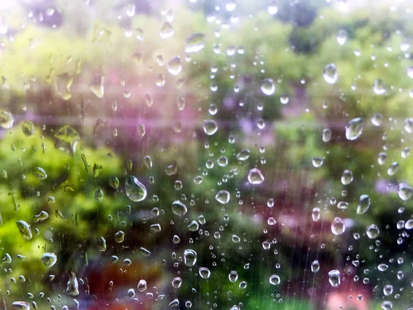 Drops Rain Glass Green Trees Window — Stock Photo, Image
