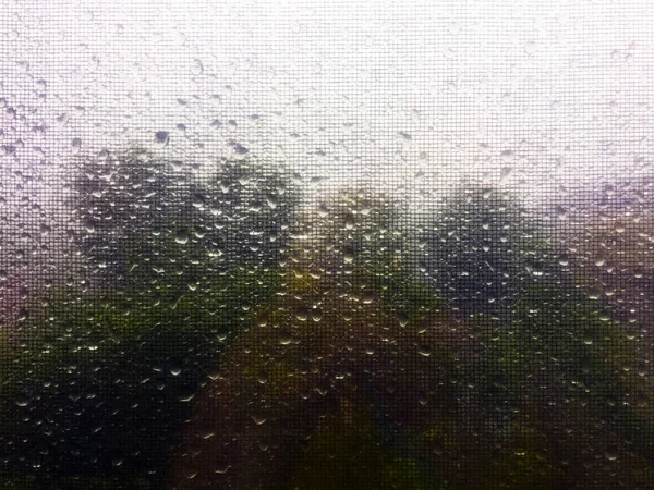 Drops Rain Glass Clouds Green Trees Window Mosquito Net Window — Stock Photo, Image