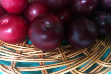 Düz mavi bir arka plan üzerinde ince dalları ahşap hasır yapısı yakınında Olgun sulu erik. Yakın çekim, üst görünüm. 