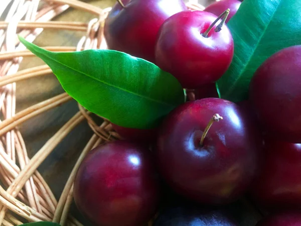 Ripe Juicy Plums Wooden Wicker Structure Thin Branches Green Leaves — Stock Photo, Image