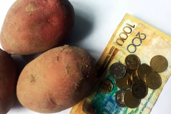 Pengar Och Rotknölar Potatis Sedlar 200 1000 Och 5000 Kazakstansk — Stockfoto