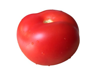 İzole domates. Beyaz arka plan üzerinde izole bir bütün olgun domates.