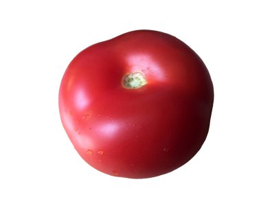İzole domates. Beyaz arka plan üzerinde izole bir bütün olgun domates.