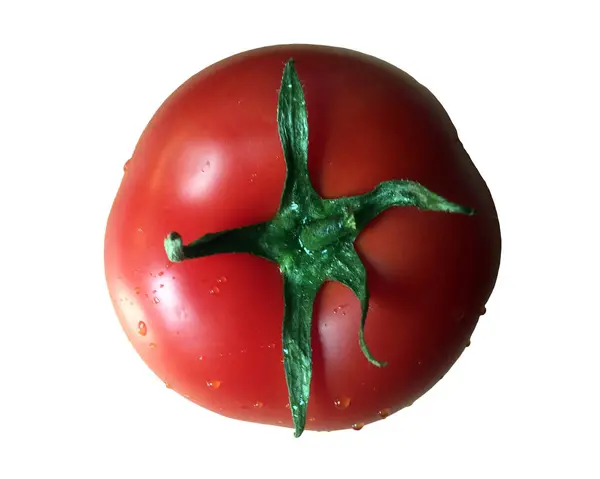 Isolated Tomato One Whole Ripe Tomato Isolated White Background — Stock Photo, Image