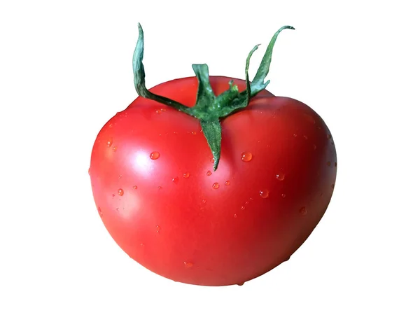 Tomate Isolée Une Tomate Mûre Entière Isolée Sur Fond Blanc Images De Stock Libres De Droits