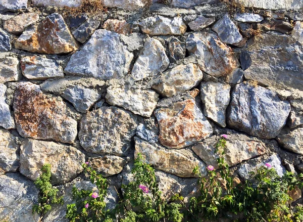 Part Wall Made Natural Stone Different Sizes Shapes Green Plants — Stock Photo, Image