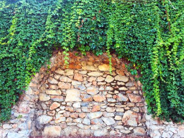 Taş duvardaki sarmaşık. Duvar farklı boyutlarda ve kemerler ile şekillerde doğal taştan yapılmış bir parçası, yeşil bitkiler ile dolaşık. Eski taş bina boyunca yol. Yakın çekim, güzel arka plan