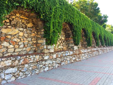 Taş duvardaki sarmaşık. Duvar farklı boyutlarda ve kemerler ile şekillerde doğal taştan yapılmış bir parçası, yeşil bitkiler ile dolaşık. Eski taş bina boyunca yol. Yakın çekim, güzel arka plan