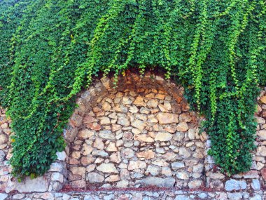 Taş duvardaki sarmaşık. Duvar farklı boyutlarda ve kemerler ile şekillerde doğal taştan yapılmış bir parçası, yeşil bitkiler ile dolaşık. Eski taş bina boyunca yol. Yakın çekim, güzel arka plan