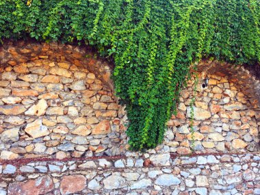 Taş duvardaki sarmaşık. Duvar farklı boyutlarda ve kemerler ile şekillerde doğal taştan yapılmış bir parçası, yeşil bitkiler ile dolaşık. Eski taş bina boyunca yol. Yakın çekim, güzel arka plan