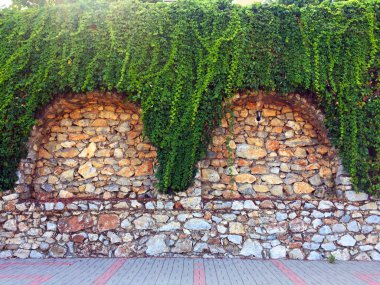 Taş duvardaki sarmaşık. Duvar farklı boyutlarda ve kemerler ile şekillerde doğal taştan yapılmış bir parçası, yeşil bitkiler ile dolaşık. Eski taş bina boyunca yol. Yakın çekim, güzel arka plan