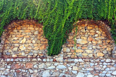 Taş duvardaki sarmaşık. Duvar farklı boyutlarda ve kemerler ile şekillerde doğal taştan yapılmış bir parçası, yeşil bitkiler ile dolaşık. Eski taş bina boyunca yol. Yakın çekim, güzel arka plan