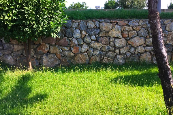 Taş duvar, eskrim. Doğal taştan yapılmış alçak bir duvarın yanındaki yeşil çimenler ve ağaçlar.