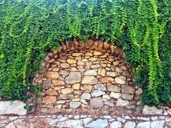 Taş duvardaki sarmaşık. Duvar farklı boyutlarda ve kemerler ile şekillerde doğal taştan yapılmış bir parçası, yeşil bitkiler ile dolaşık. Eski taş bina boyunca yol. Yakın çekim, güzel arka plan