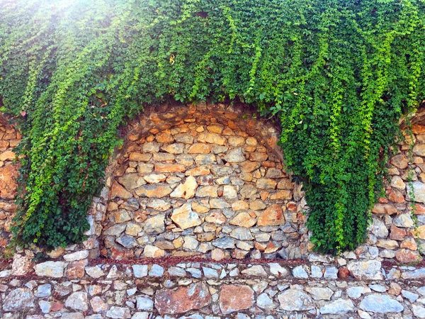Taş duvardaki sarmaşık. Duvar farklı boyutlarda ve kemerler ile şekillerde doğal taştan yapılmış bir parçası, yeşil bitkiler ile dolaşık. Eski taş bina boyunca yol. Yakın çekim, güzel arka plan