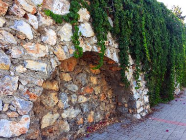 Taş duvardaki sarmaşık. Duvar farklı boyutlarda ve kemerler ile şekillerde doğal taştan yapılmış bir parçası, yeşil bitkiler ile dolaşık. Eski taş bina boyunca yol. Yakın çekim, güzel arka plan