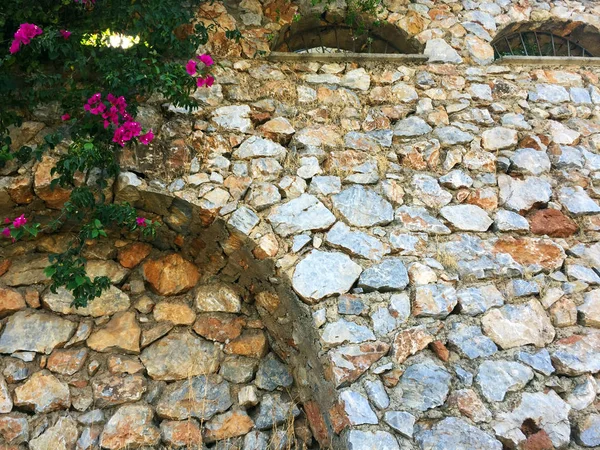 Taş duvarda sarmaşık ve parlak çiçekler. Çiçekler ve yeşil bitkiler ile doğal taştan yapılmış kemerler ile duvarın bir parçası. Eski taş bina boyunca yol. Yakın çekim, arka plan ve doku.