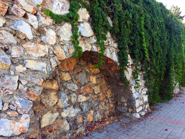Taş duvardaki sarmaşık. Duvar farklı boyutlarda ve kemerler ile şekillerde doğal taştan yapılmış bir parçası, yeşil bitkiler ile dolaşık. Eski taş bina boyunca yol. Yakın çekim, güzel arka plan