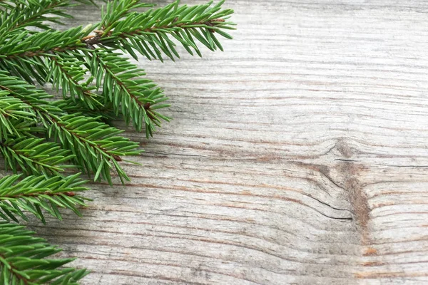 Gren Grön Gran Med Små Nålar Trä Natur Bakgrund Nytt — Stockfoto