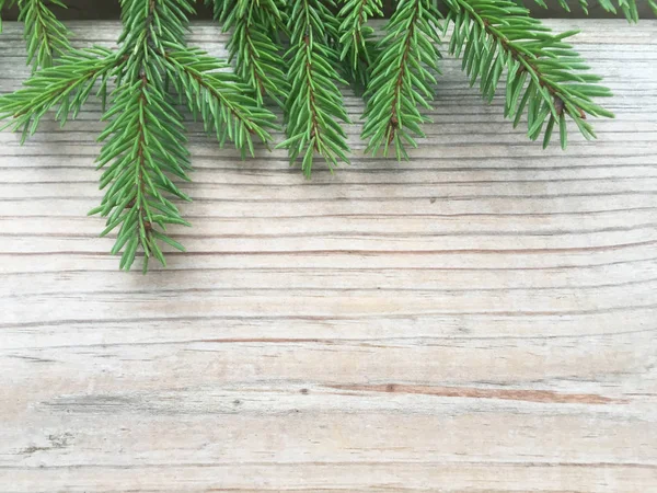 Gren Grön Gran Med Små Nålar Trä Natur Bakgrund Nytt — Stockfoto