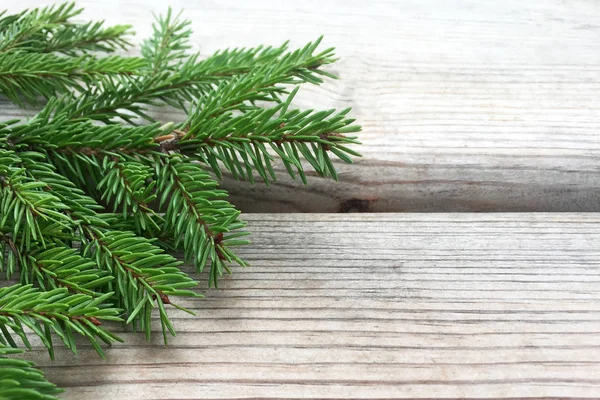 Gren Grön Gran Med Små Nålar Trä Natur Bakgrund Nytt — Stockfoto